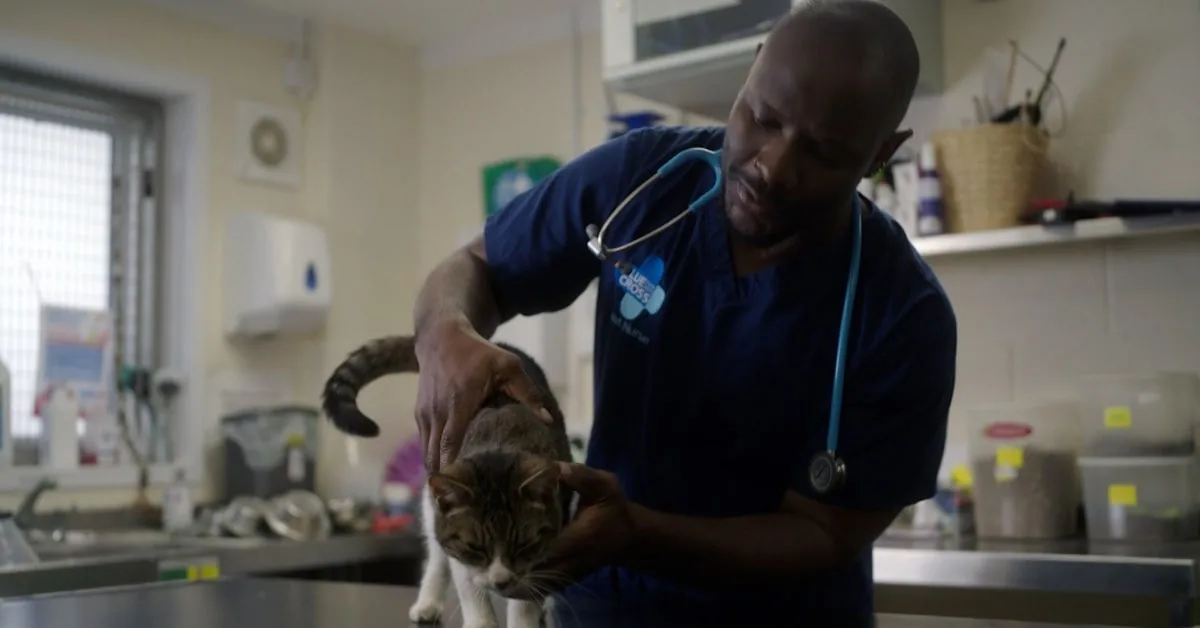Blue Cross client story