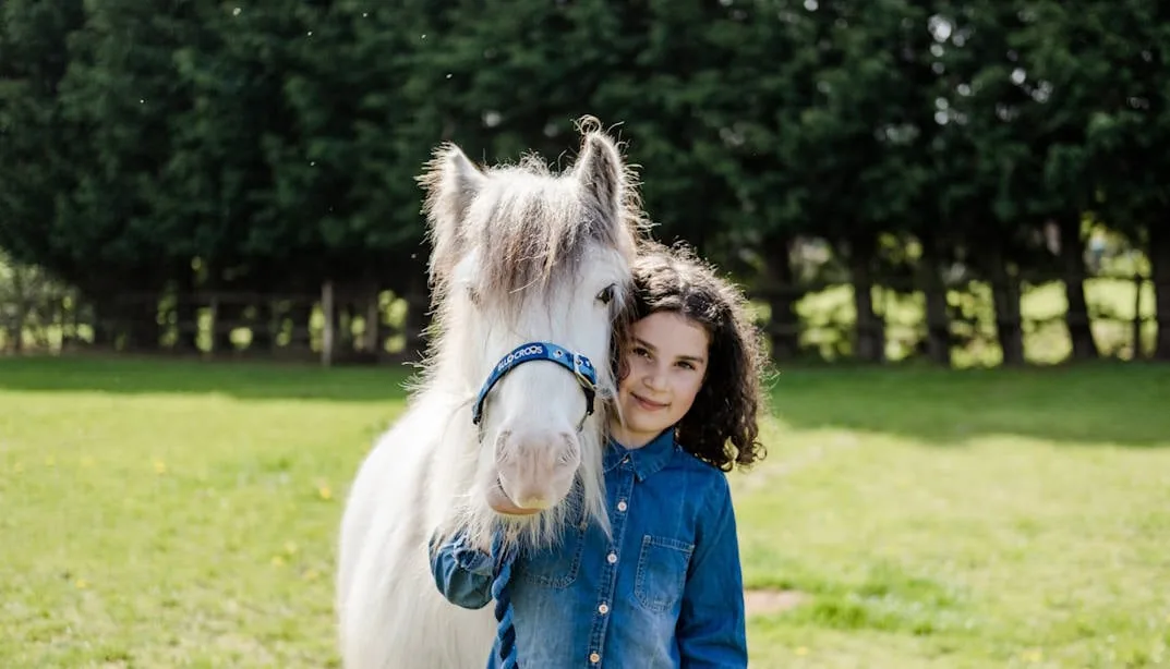 Blue Cross Strategy delivering for pets